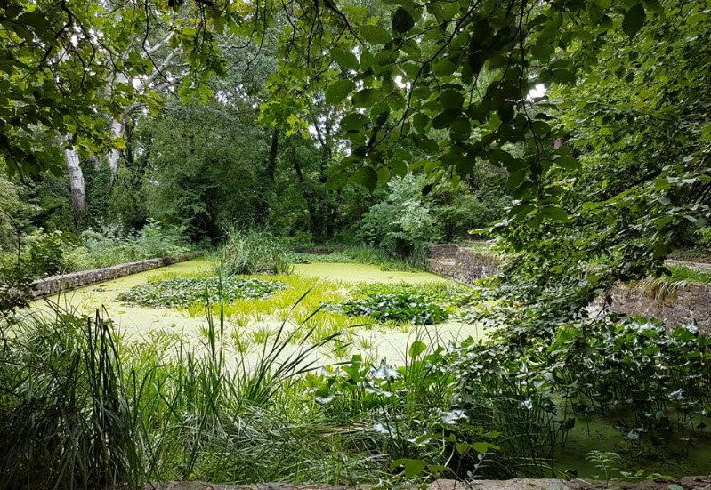 Sopron Botanical Garden , Hungary